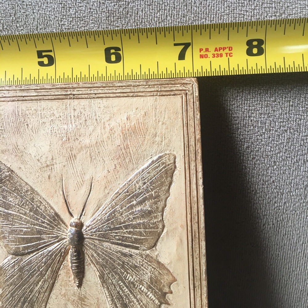 Folding Butterfly Frame - Picture 3 of 5